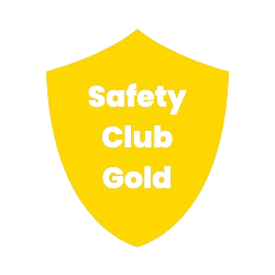 Gold Icon