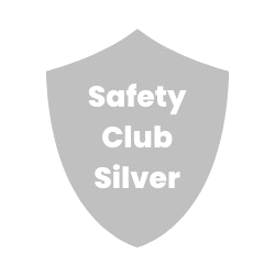 Silver Icon